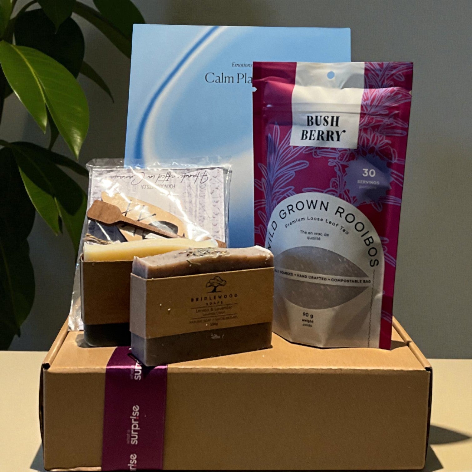 Tiny Wins - Mini box 3